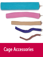 accessories.png