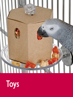 toys.png